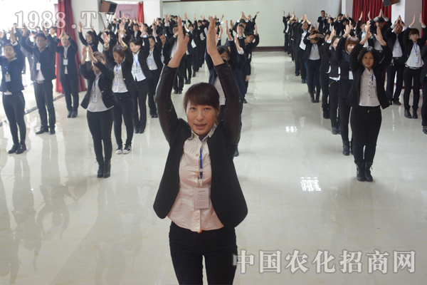 營造團(tuán)隊(duì)精神 攜手展望未來
