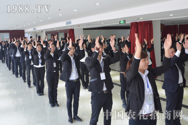 一個團(tuán)隊的五個基本要素:溝通、信任、慎重、換位、快樂
