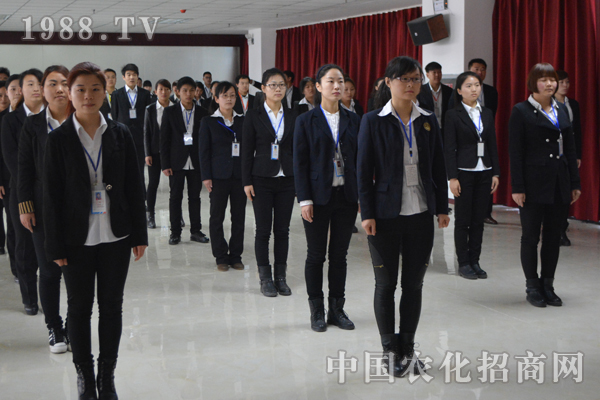 一個團(tuán)隊的五個基本要素:溝通、信任、慎重、換位、快樂