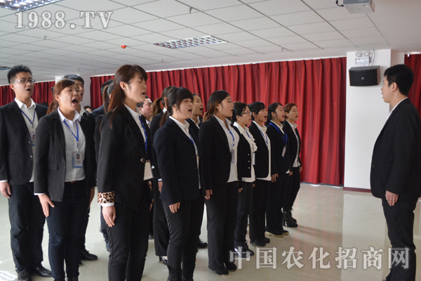 在火爆成長(zhǎng)的點(diǎn)點(diǎn)滴滴