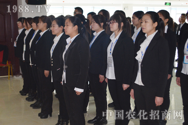 火爆的成功離不開(kāi)團(tuán)隊(duì)