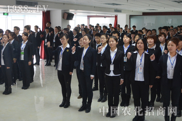 塑造堅不可摧的狼性團(tuán)隊