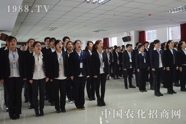 塑造堅不可摧的狼性團(tuán)隊